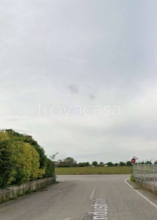 immagine annuncio 6 di 13