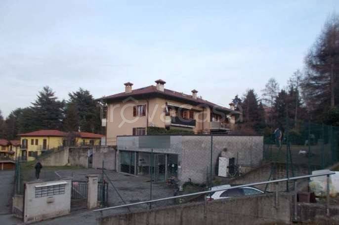 immagine annuncio 1 di 12