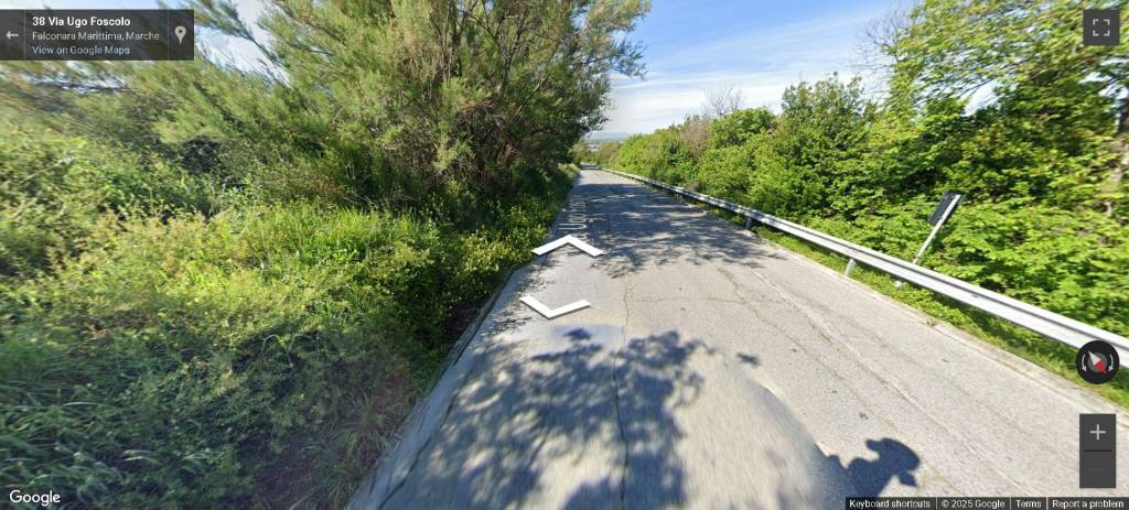 immagine annuncio 2 di 13