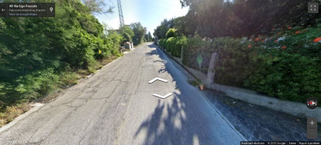 immagine annuncio 11 di 13
