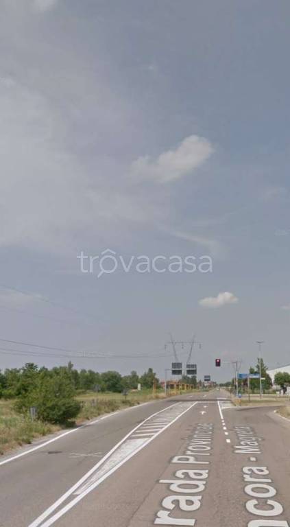 immagine annuncio 3 di 13