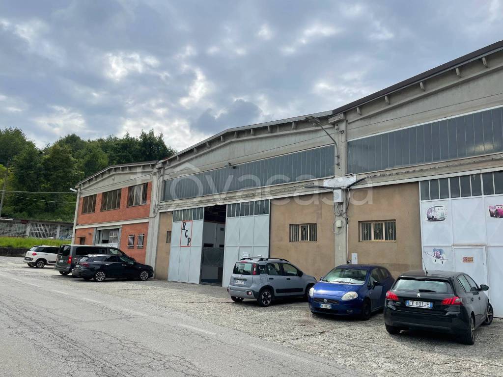 immagine annuncio 2 di 13