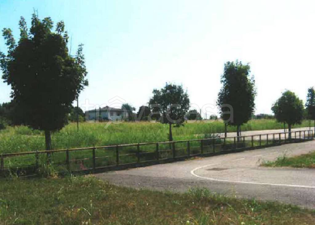 immagine annuncio 5 di 11