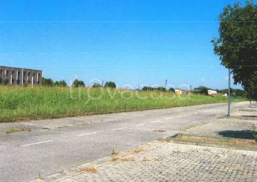 immagine annuncio 10 di 11