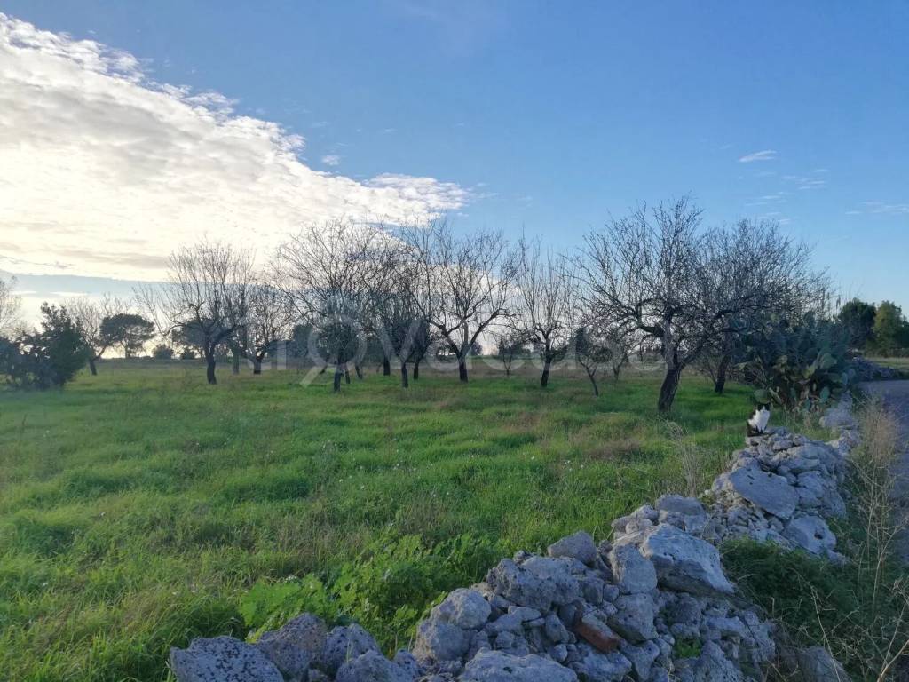 immagine annuncio 2 di 8