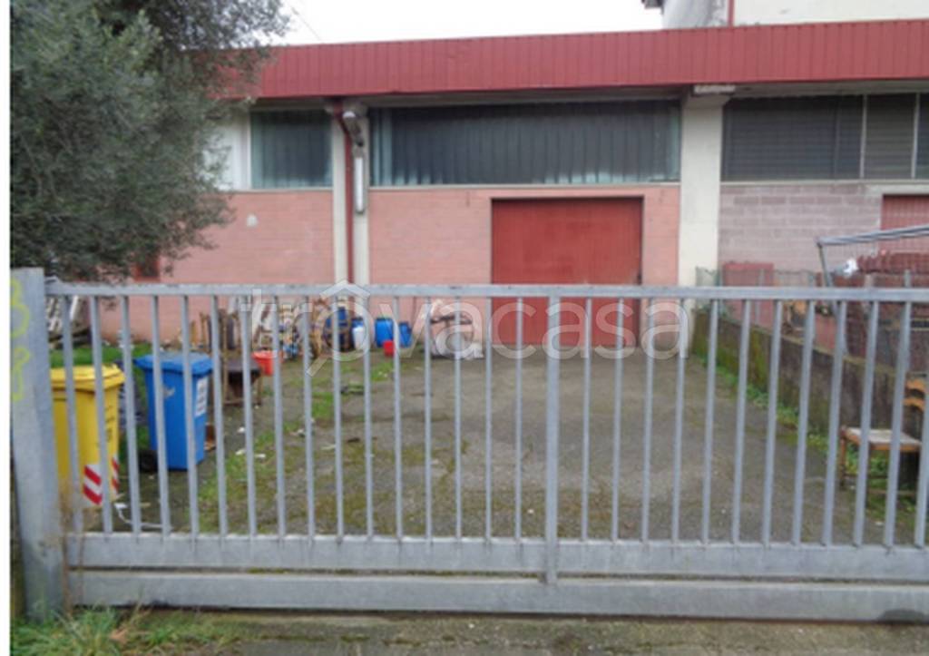 immagine annuncio 2 di 13