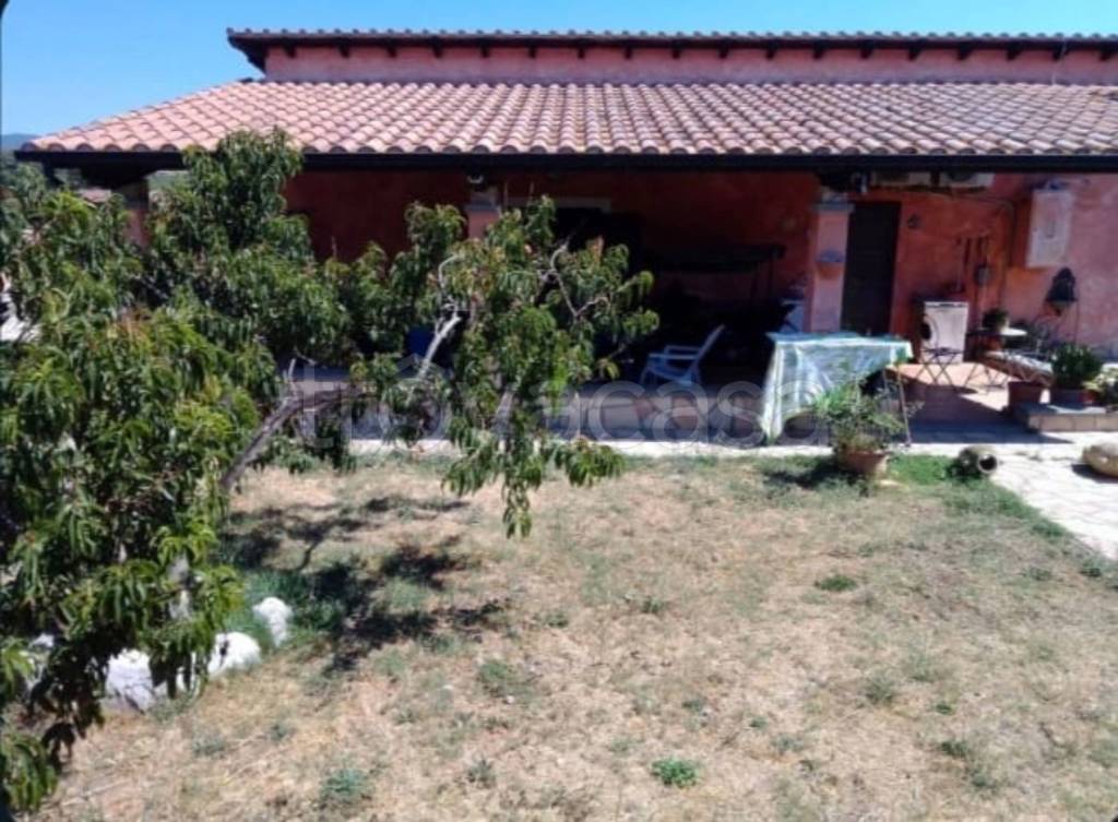 immagine annuncio 12 di 14
