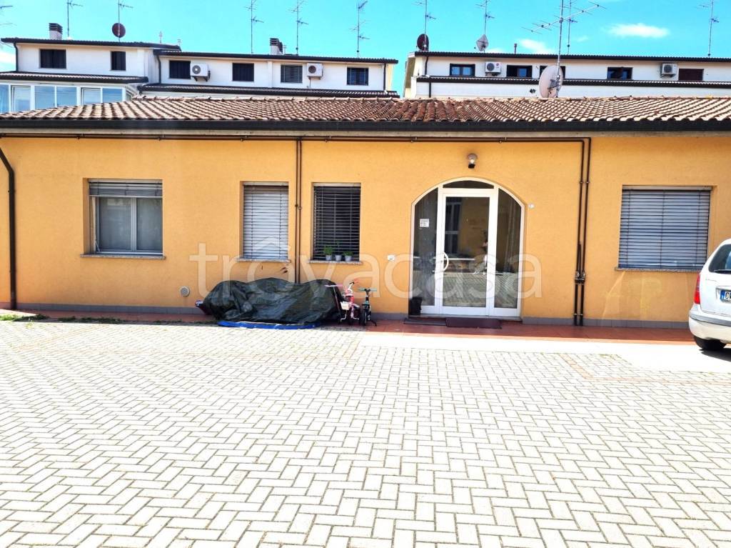 immagine annuncio 1 di 14
