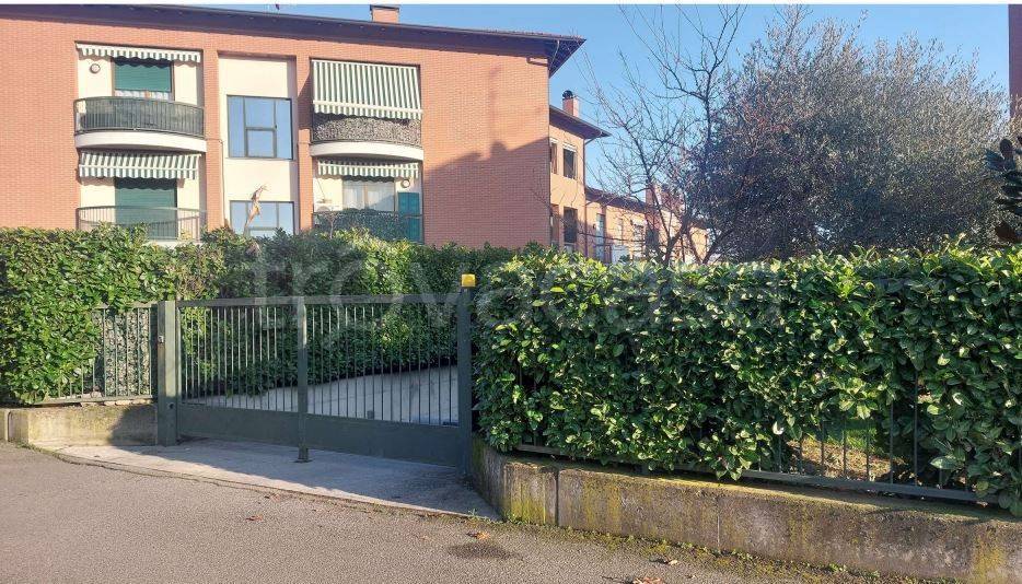 immagine annuncio 1 di 14