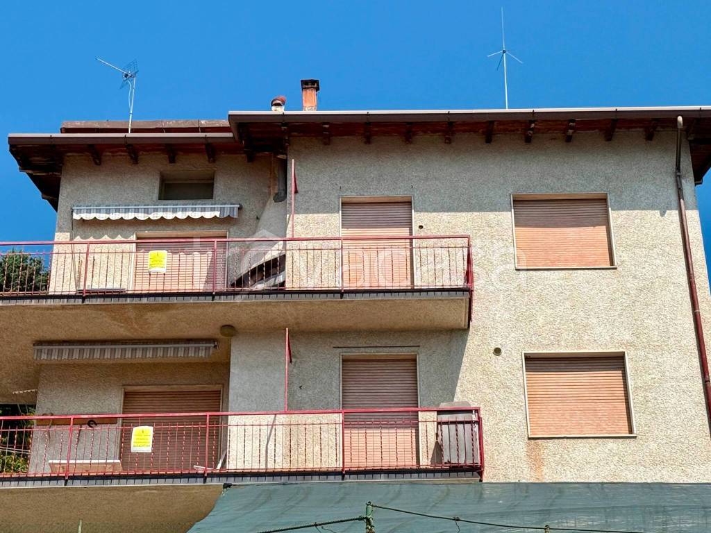 immagine annuncio 11 di 12