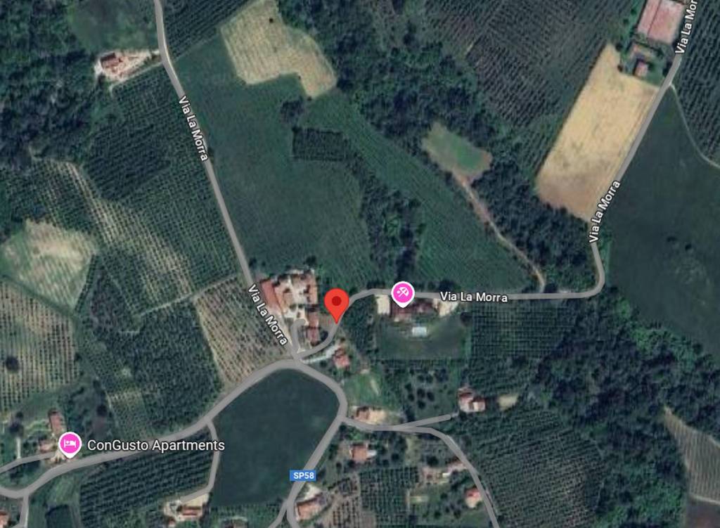 immagine annuncio 3 di 12