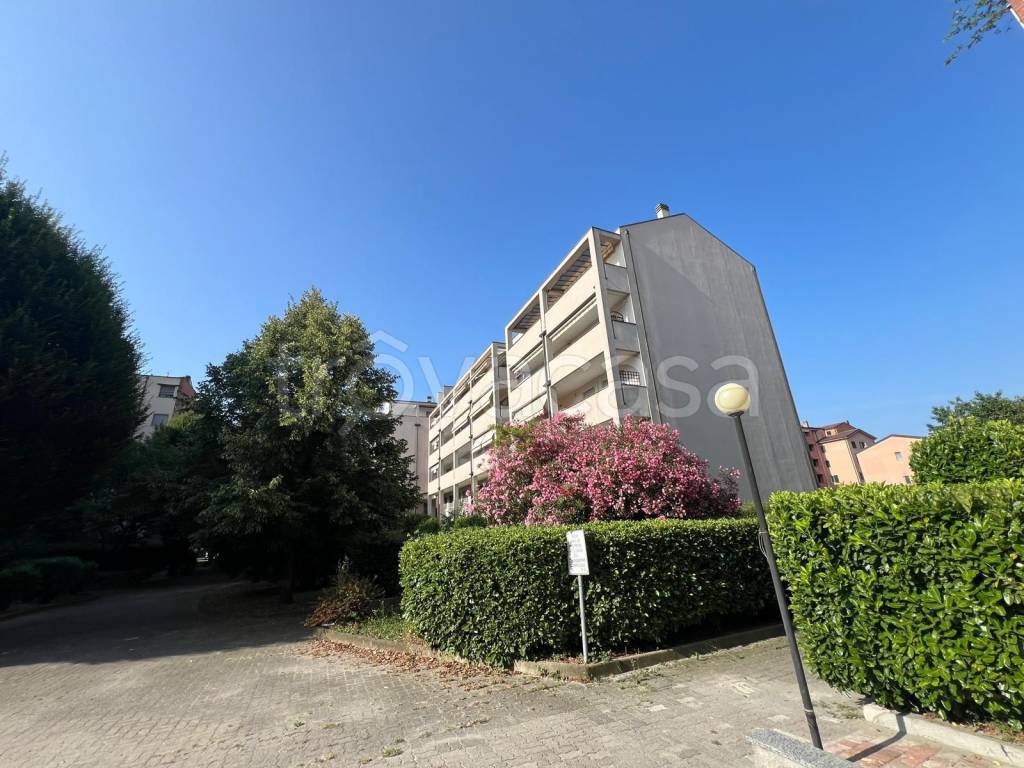 immagine annuncio 7 di 8