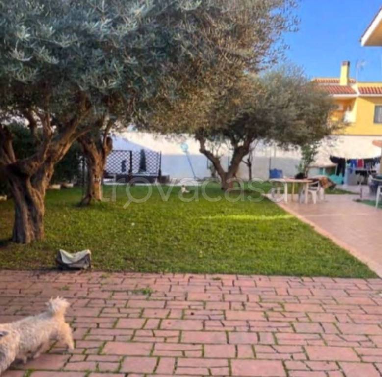 immagine annuncio 10 di 13