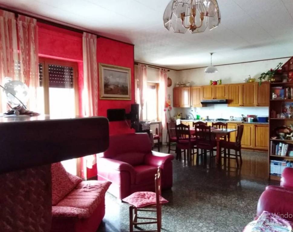 immagine annuncio 10 di 14