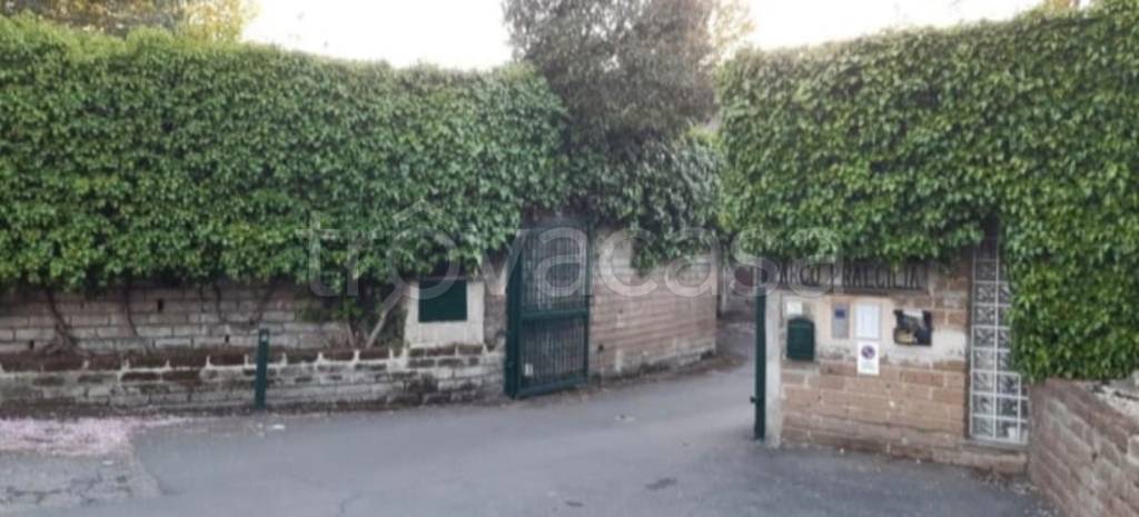 immagine annuncio 9 di 14