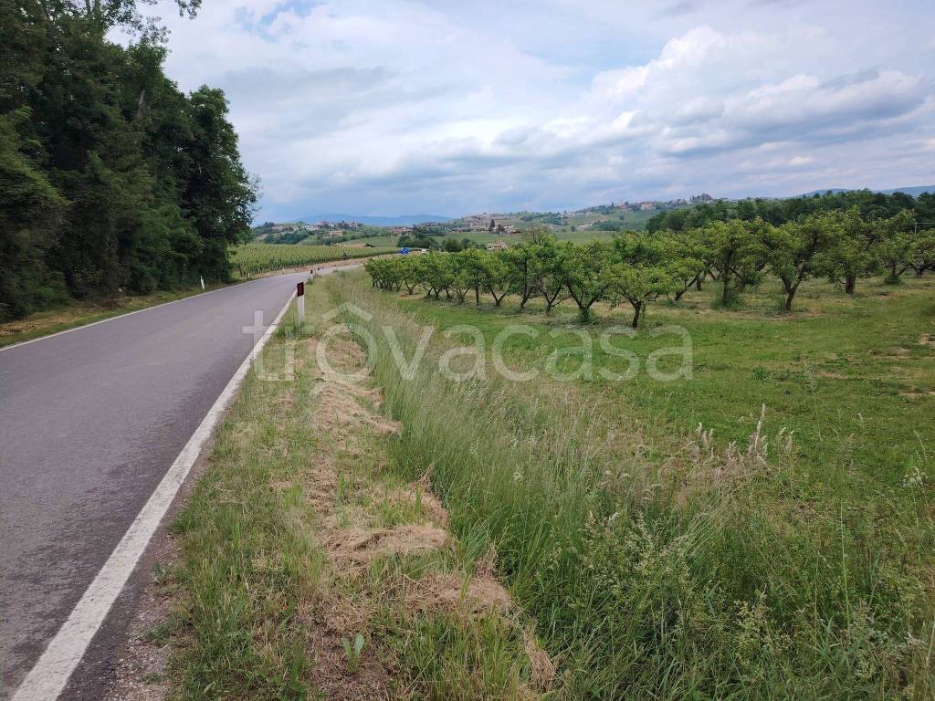 immagine annuncio 7 di 12