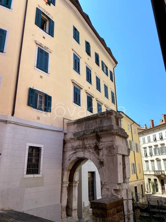 immagine annuncio 12 di 14