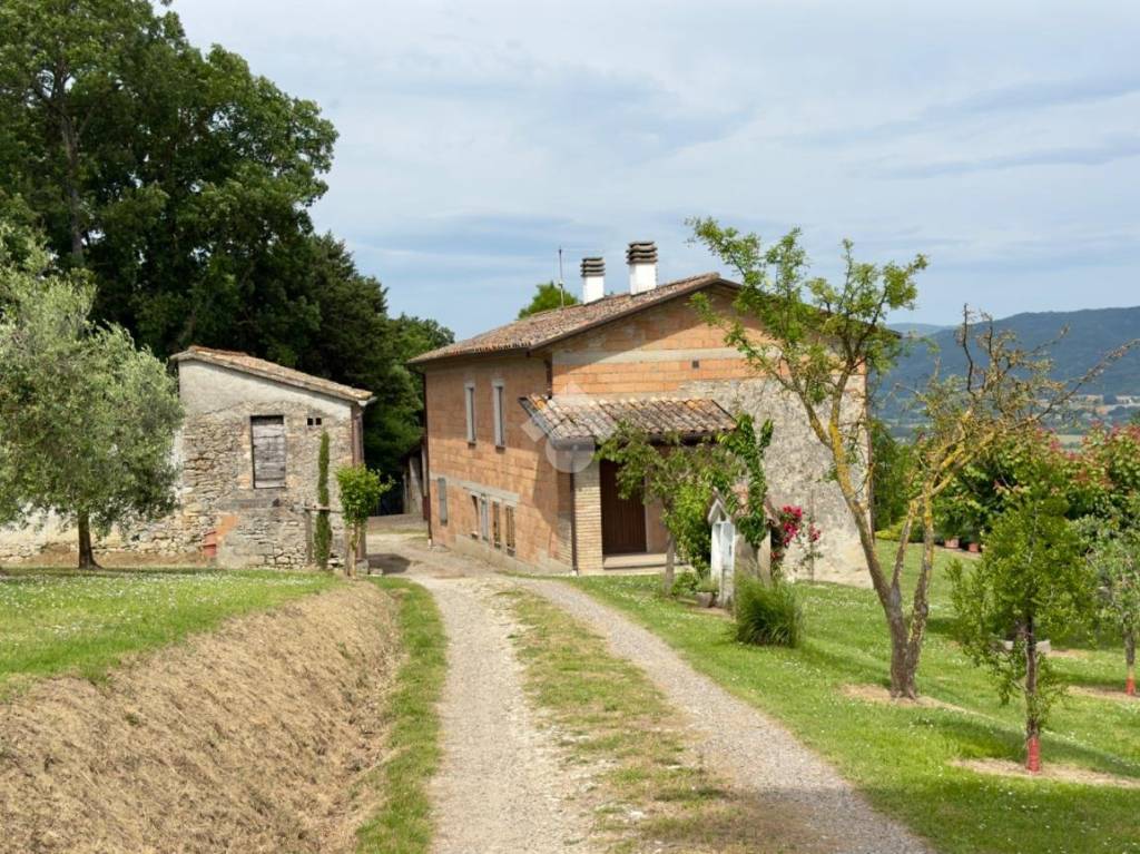 immagine annuncio 5 di 6