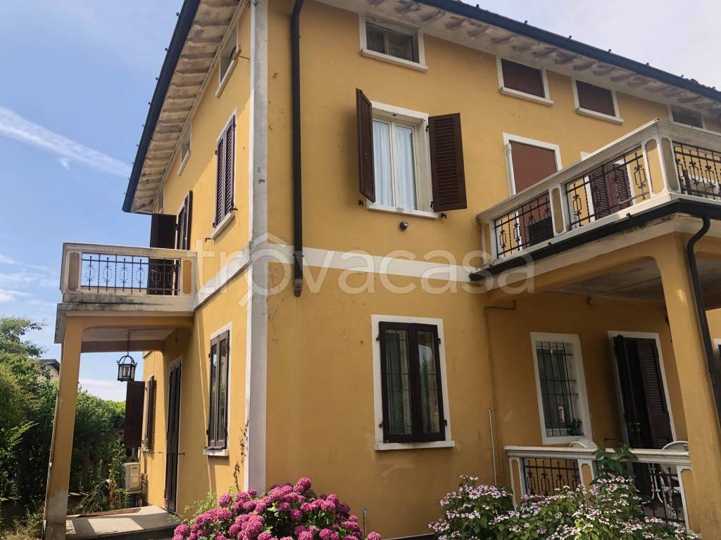 immagine annuncio 5 di 8