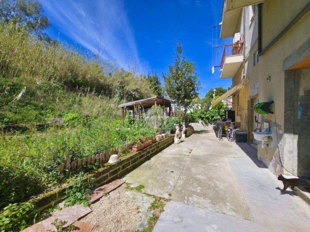 immagine annuncio 9 di 12