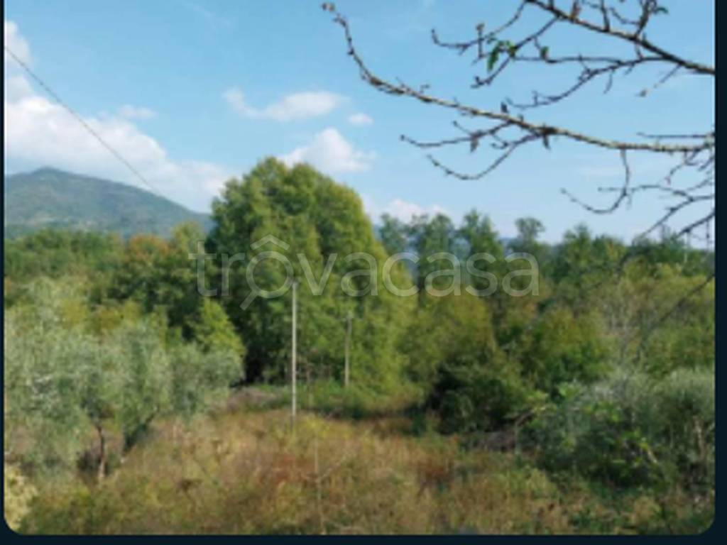 immagine annuncio 10 di 13