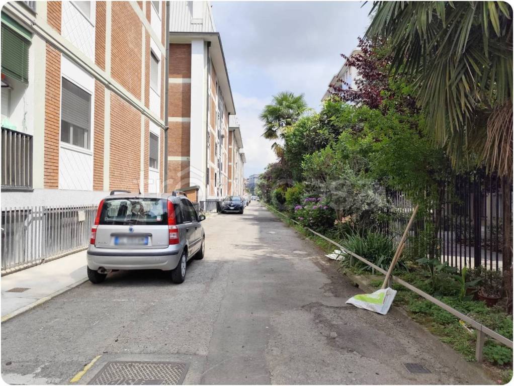 immagine annuncio 9 di 14