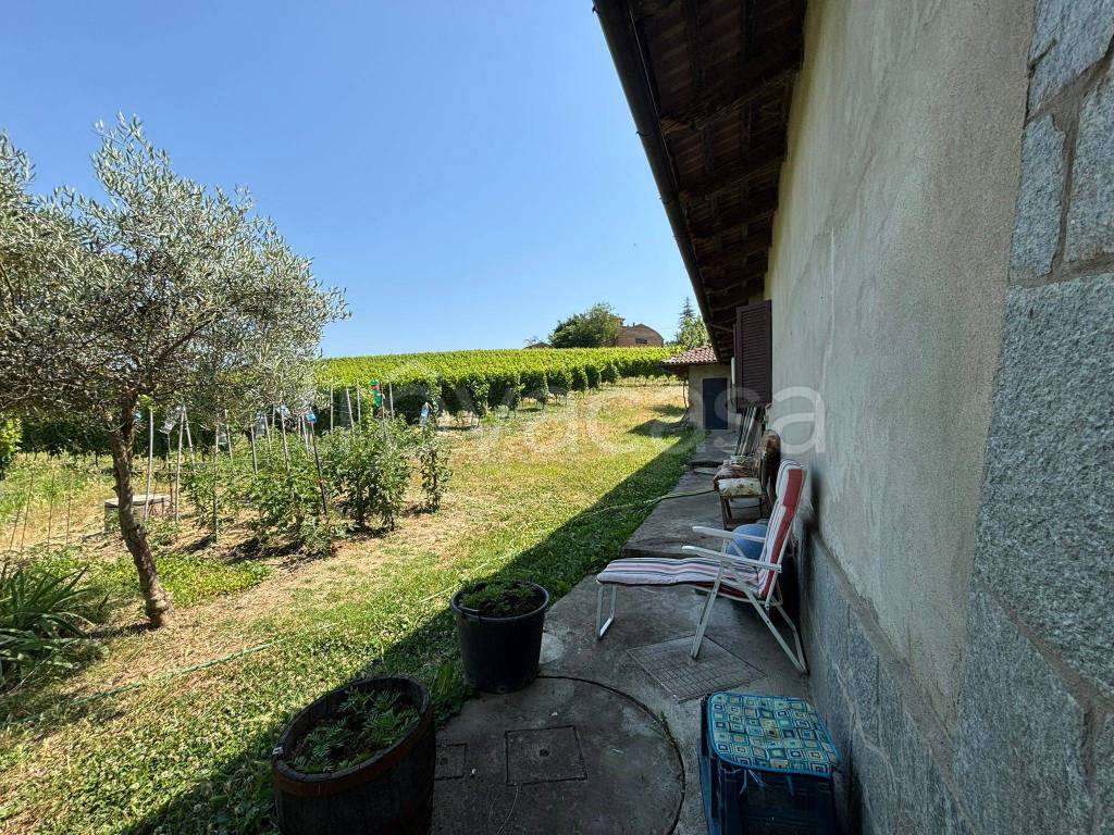 immagine annuncio 5 di 15