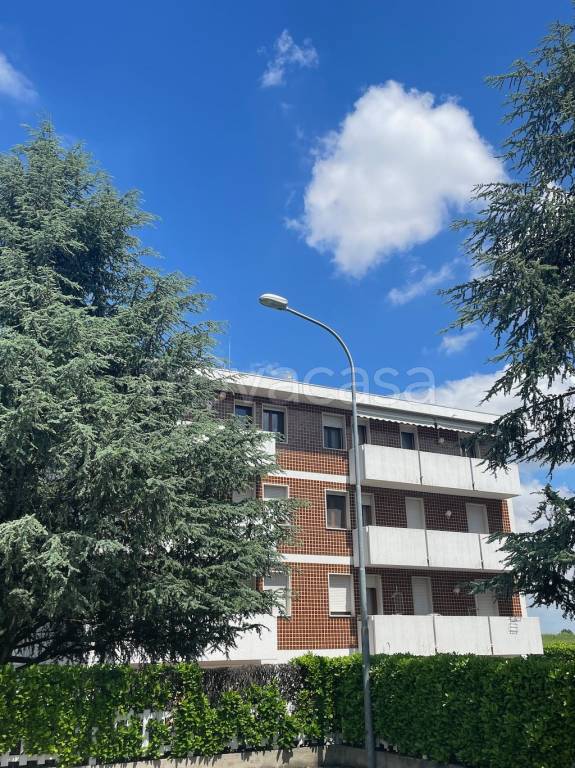 immagine annuncio 5 di 13