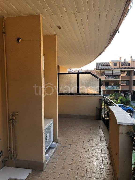 immagine annuncio 9 di 14
