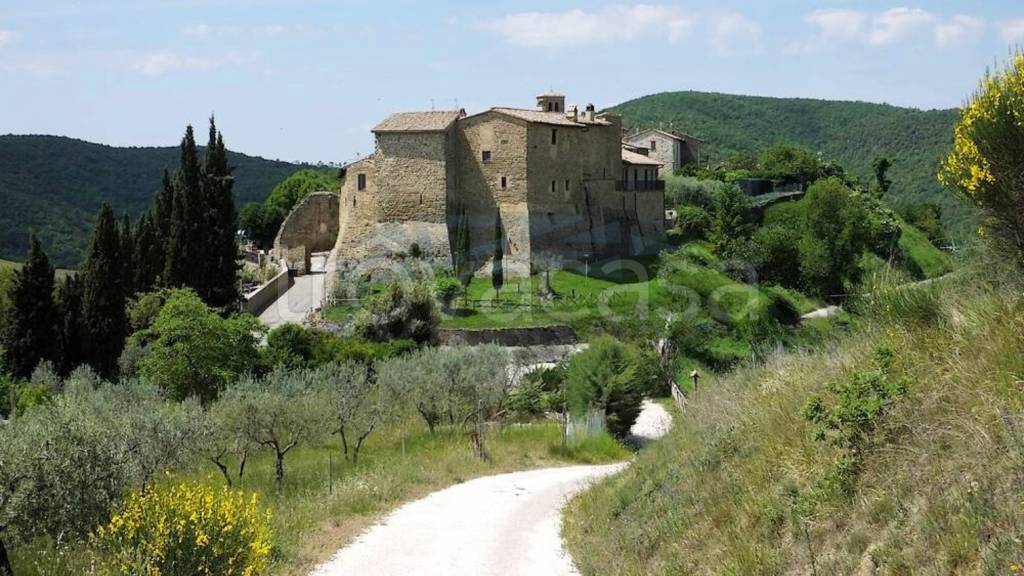 immagine annuncio 7 di 9