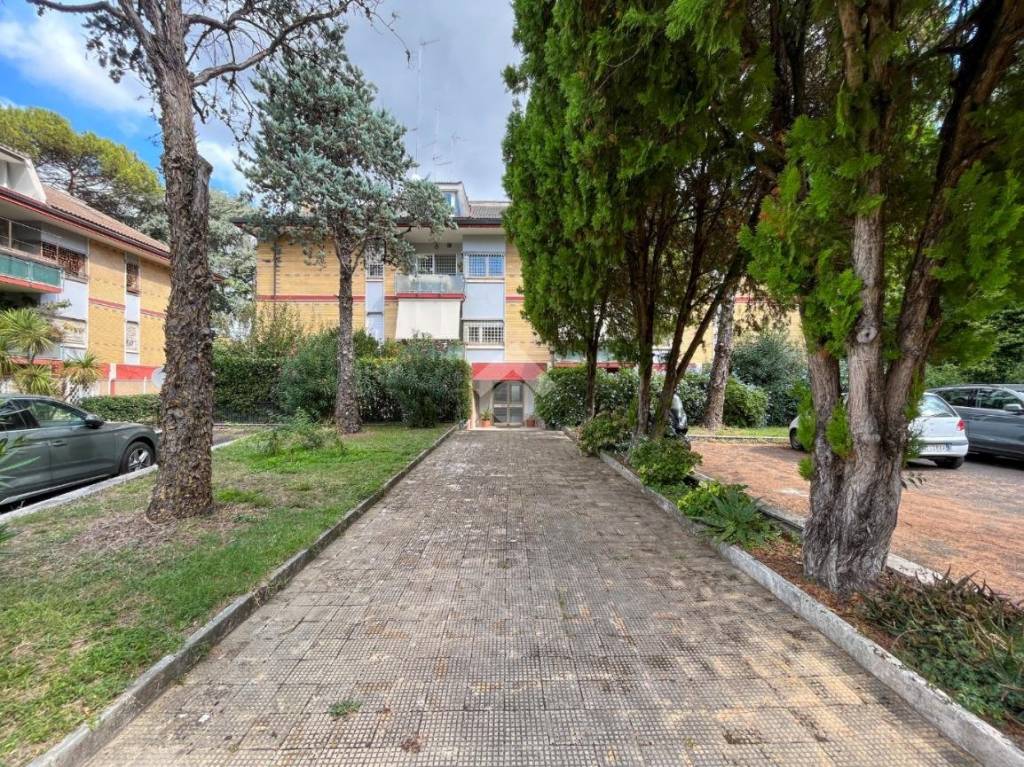 immagine annuncio 13 di 14