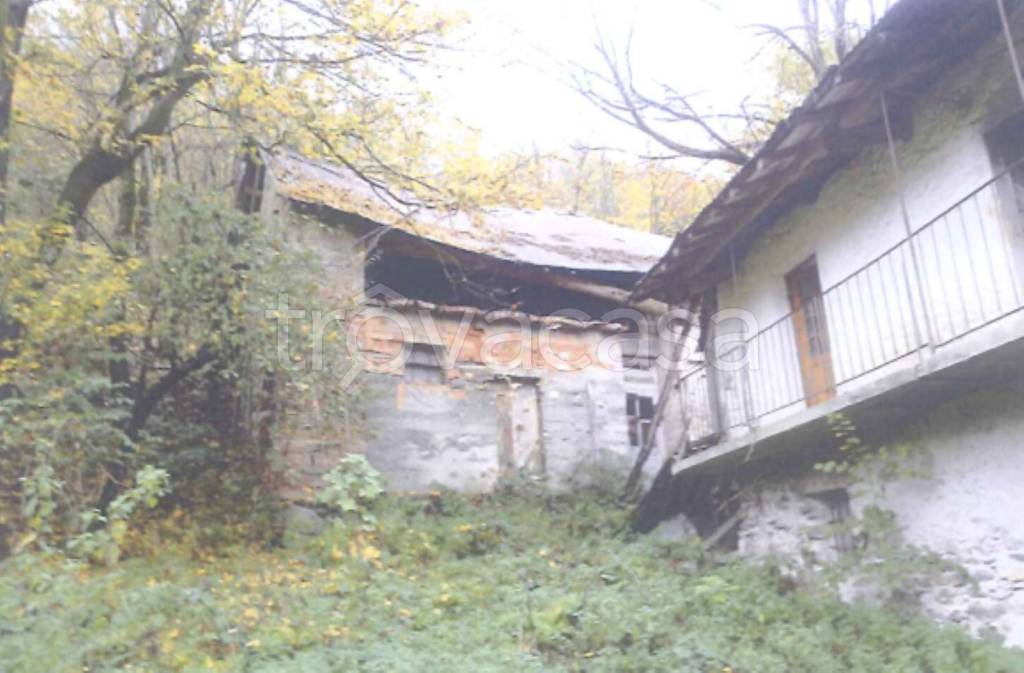 immagine annuncio 4 di 14