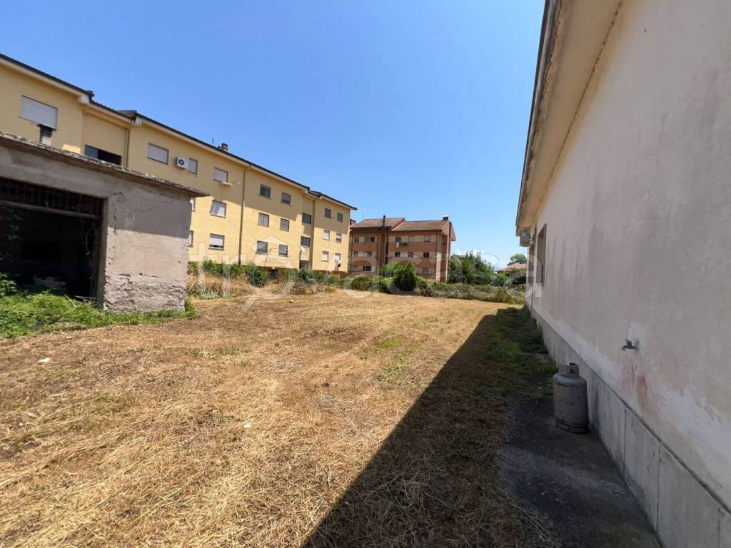 immagine annuncio 9 di 12