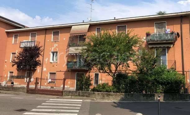 immagine annuncio 6 di 15
