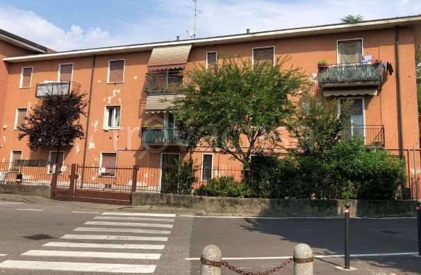 immagine annuncio 12 di 15