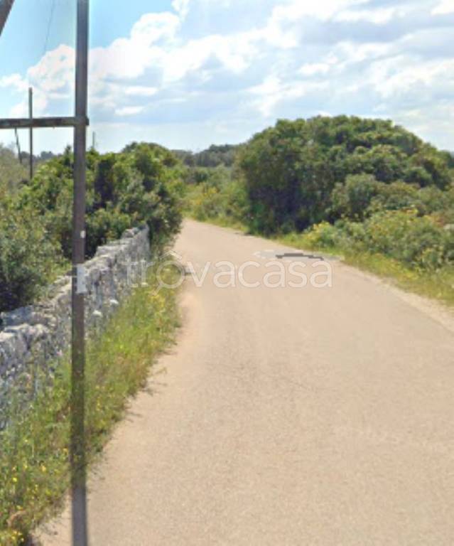 immagine annuncio 2 di 12