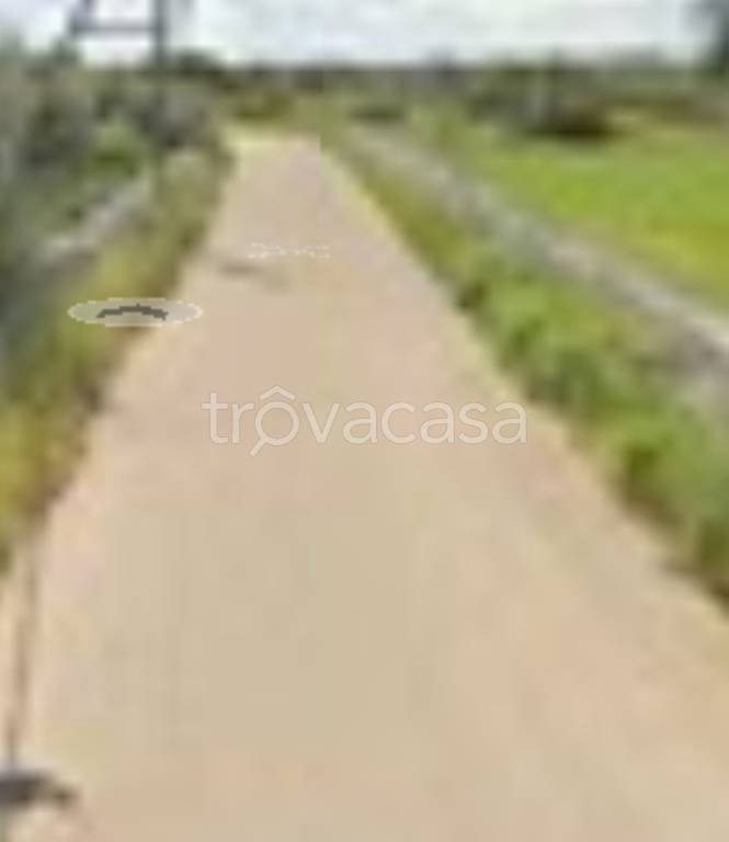 immagine annuncio 4 di 12