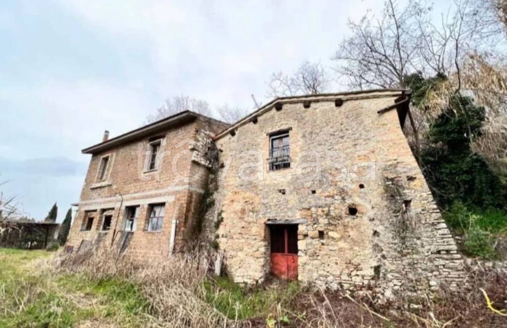 immagine annuncio 6 di 14