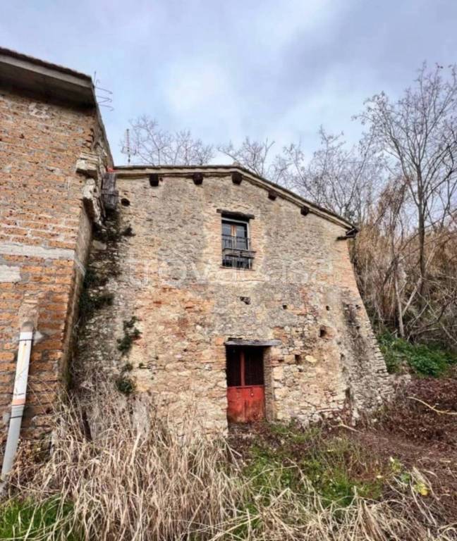 immagine annuncio 7 di 14