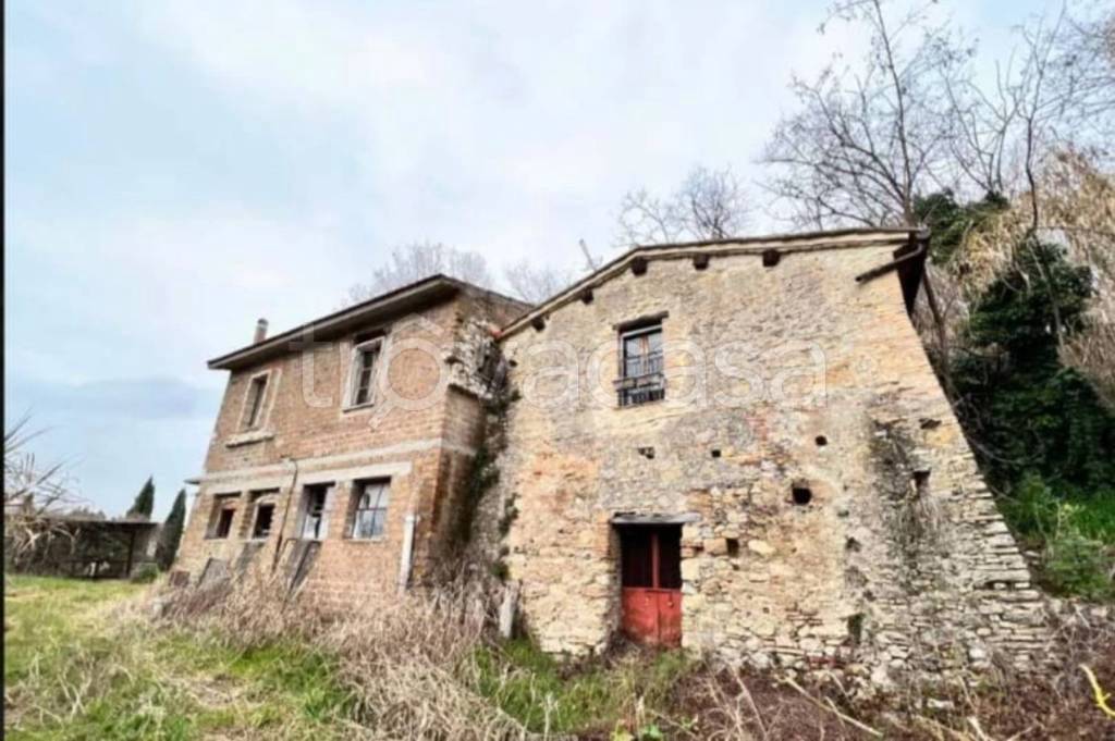 immagine annuncio 12 di 14