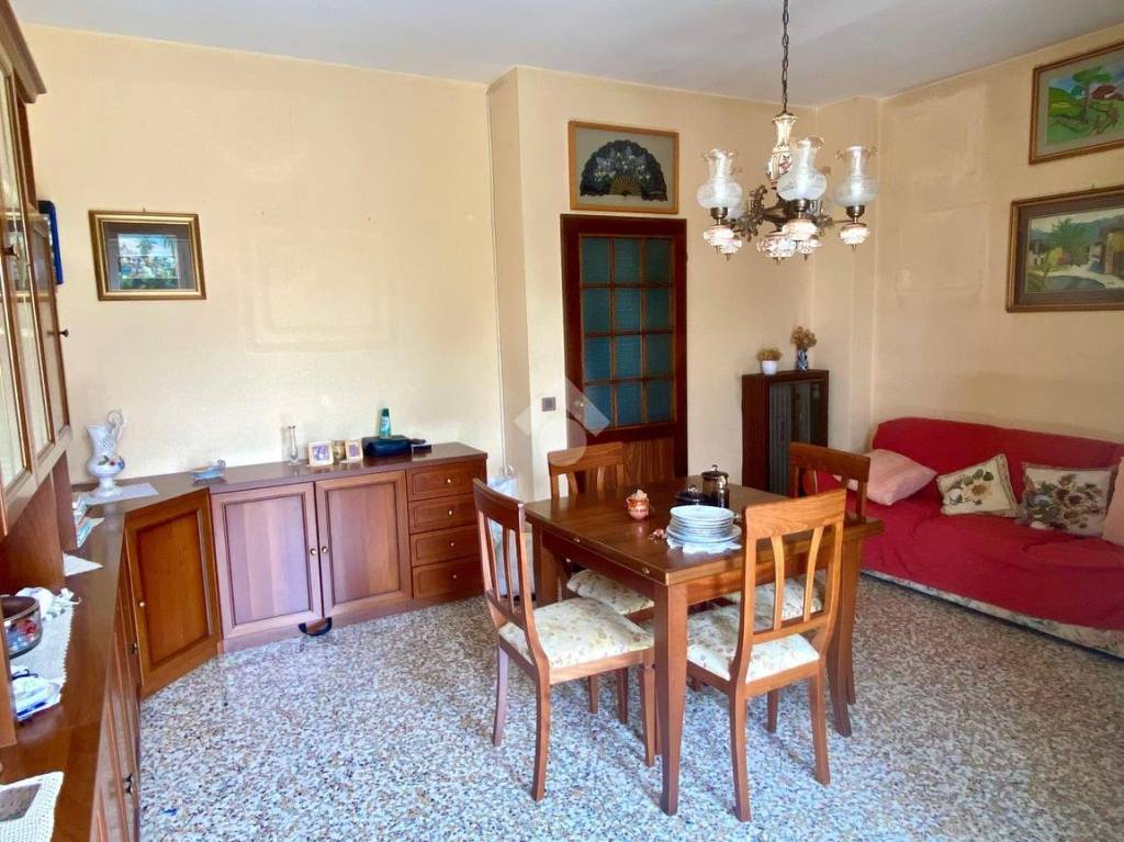 immagine annuncio 4 di 14