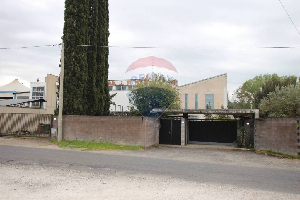 immagine annuncio 7 di 11