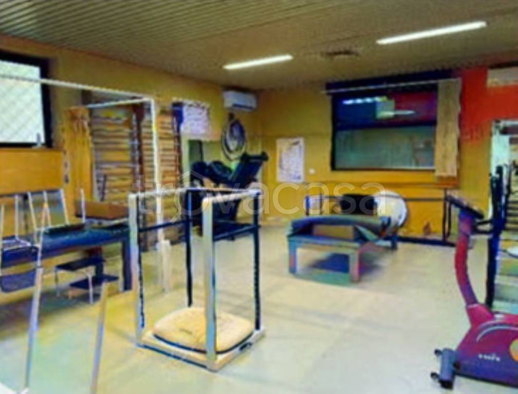 immagine annuncio 5 di 11