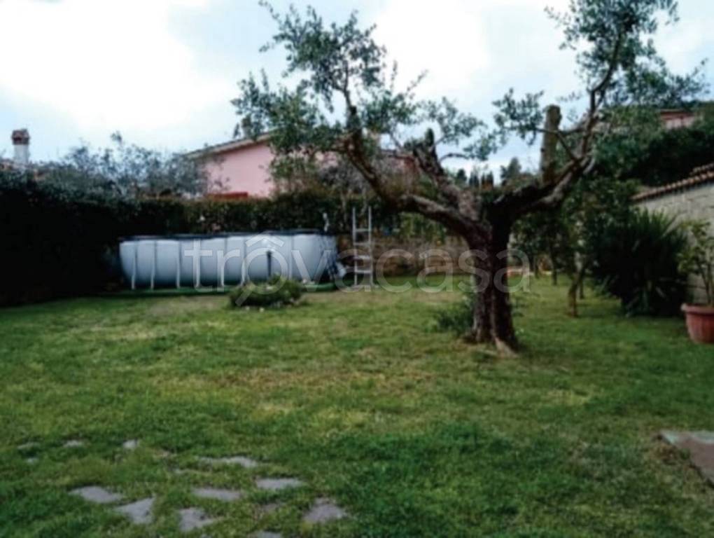 immagine annuncio 9 di 13