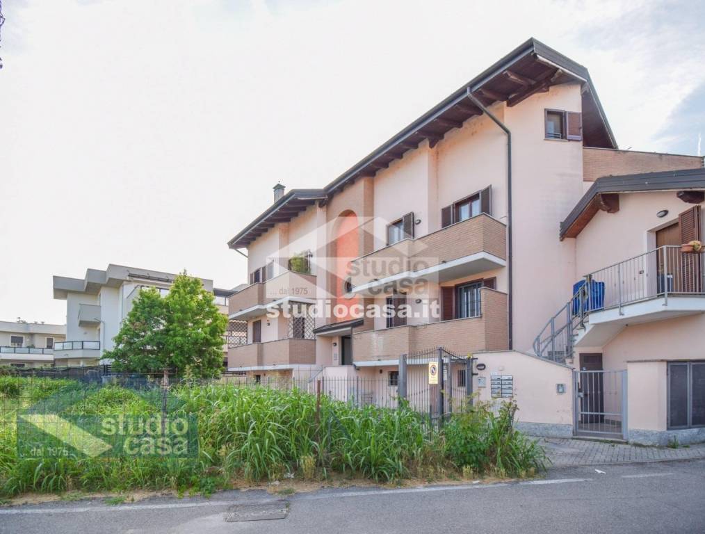 immagine annuncio 3 di 15