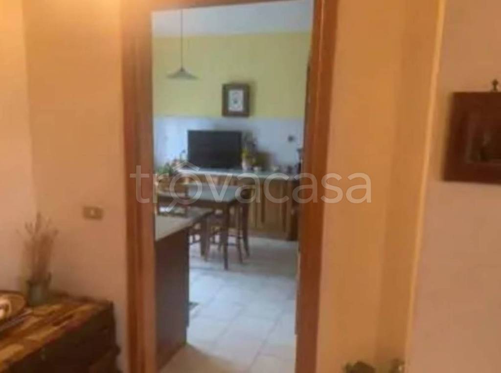 immagine annuncio 8 di 14
