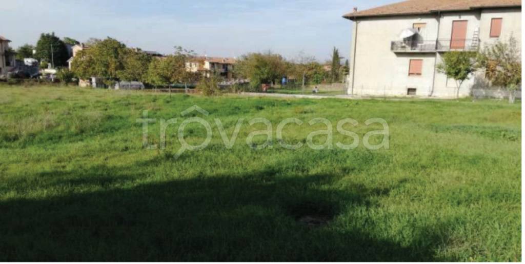 immagine annuncio 2 di 11