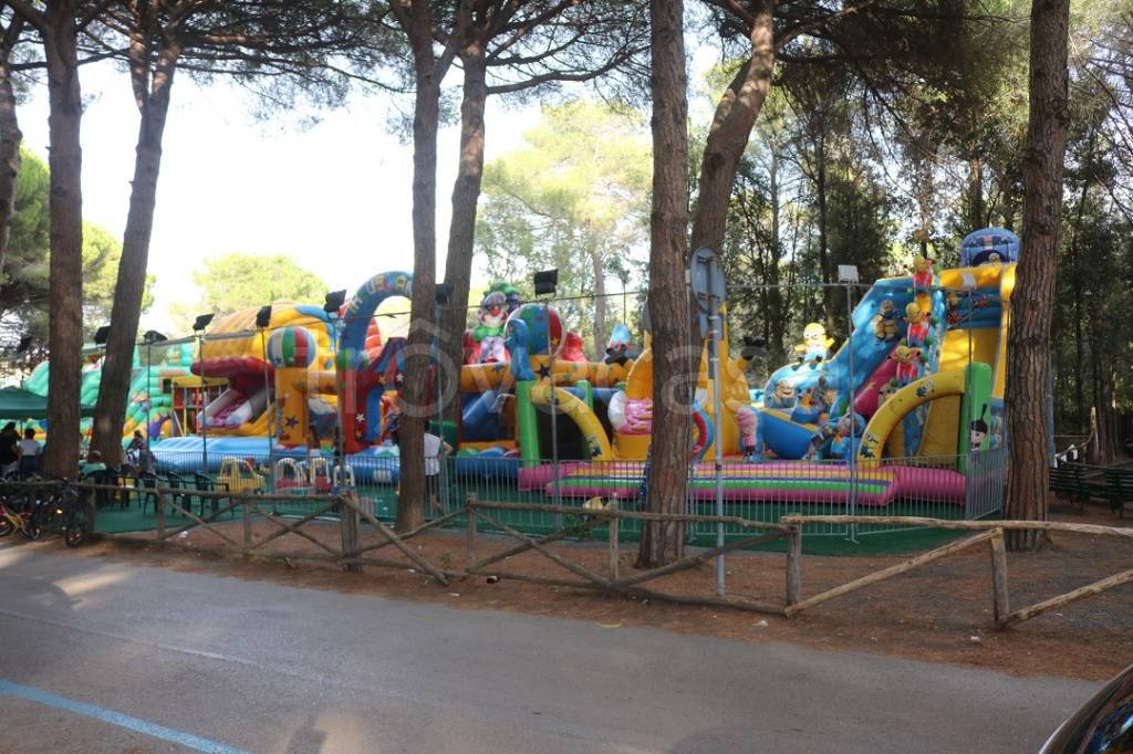 immagine annuncio 6 di 13