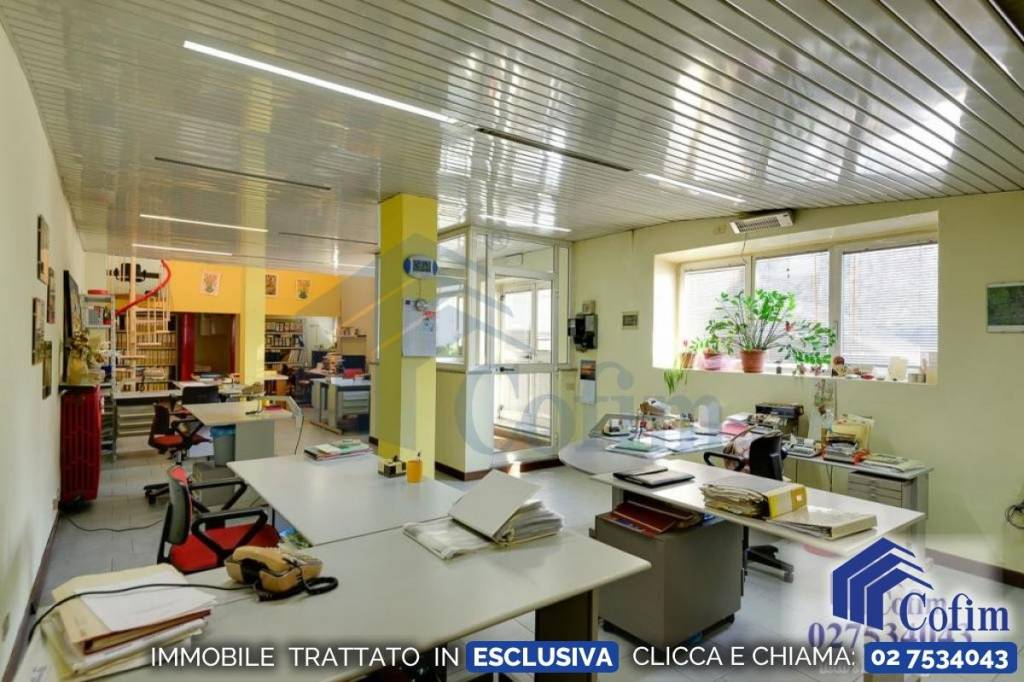 immagine annuncio 7 di 11