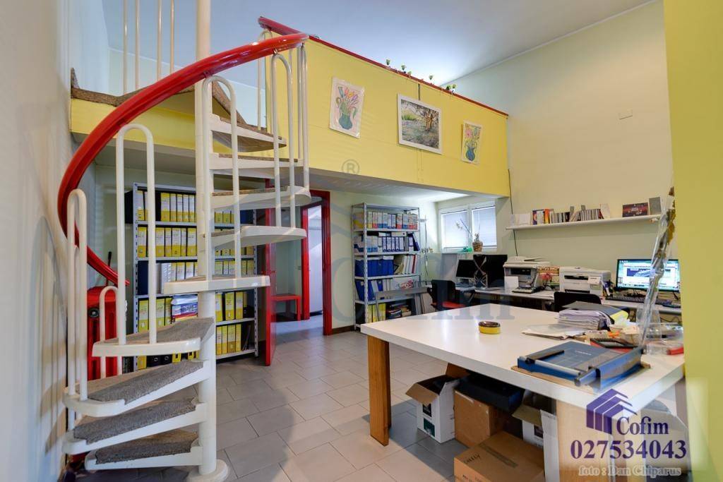immagine annuncio 5 di 11